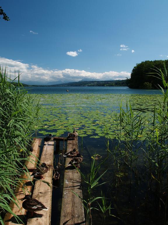 Seehotel Delphin Meisterschwanden Bagian luar foto