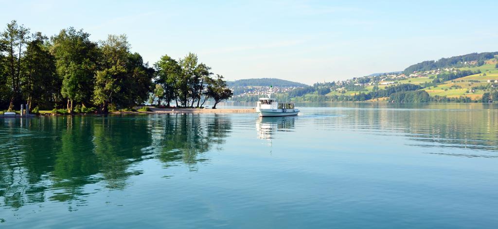 Seehotel Delphin Meisterschwanden Bagian luar foto