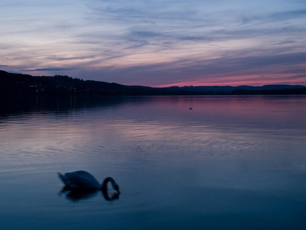 Seehotel Delphin Meisterschwanden Bagian luar foto